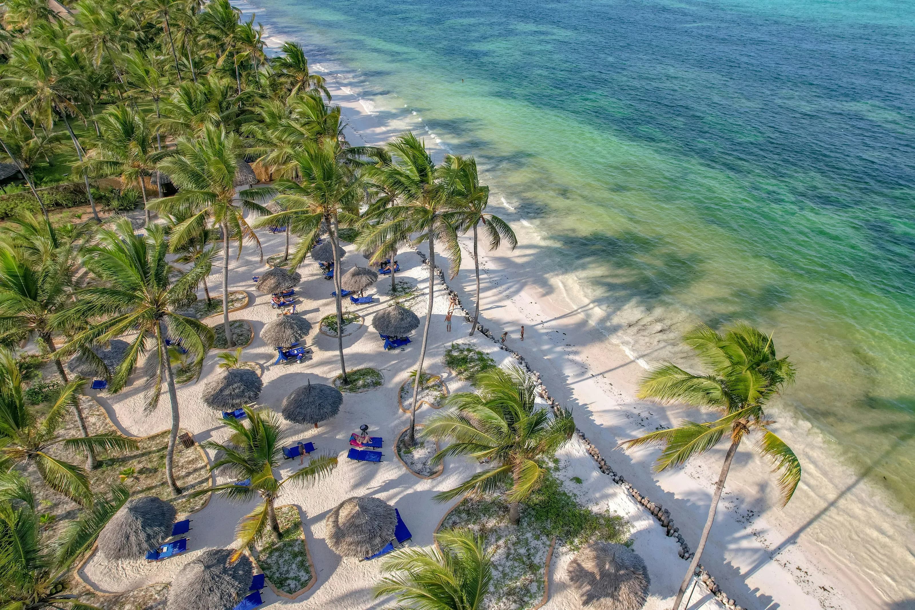 Bush & Beach: Northern Circuit and Zanzibar