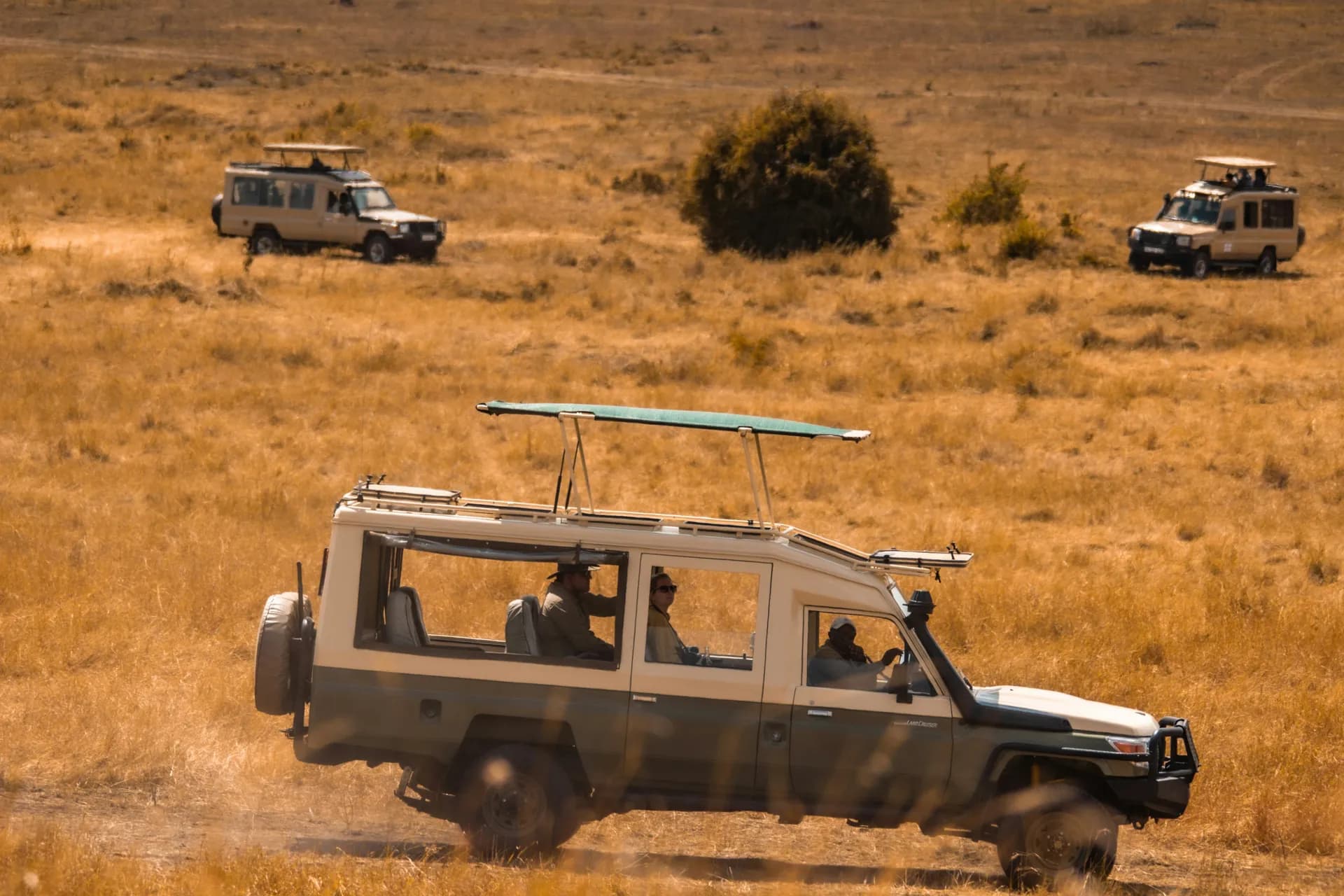 A safari vehicle with guests aboard crossing golden plains.